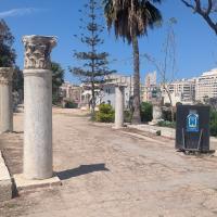 PXL_20250405_111316502.MP