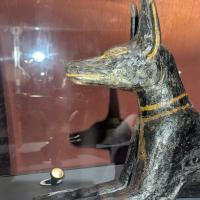 PXL_20250405_123558205.MP