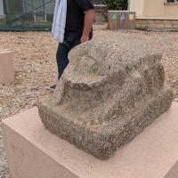 PXL_20250407_083527602.MP