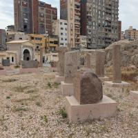 PXL_20250407_084107500.MP