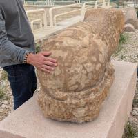 PXL_20250407_084601327