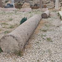 PXL_20250407_084656304.MP