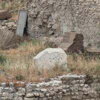 PXL_20250407_084912233