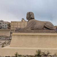 PXL_20250407_085922778.MP