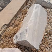 PXL_20250407_092408238.MP