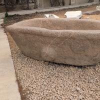 PXL_20250407_092923075.MP