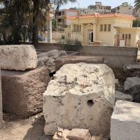 PXL_20250407_094555634