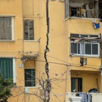 PXL_20250407_103759421