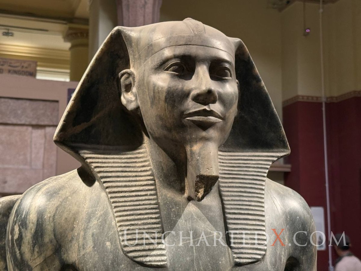 photo_2025-04-19_19-58-55