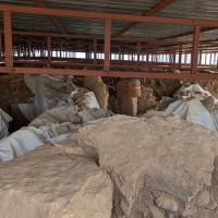 PXL_20250409_115923343.MP