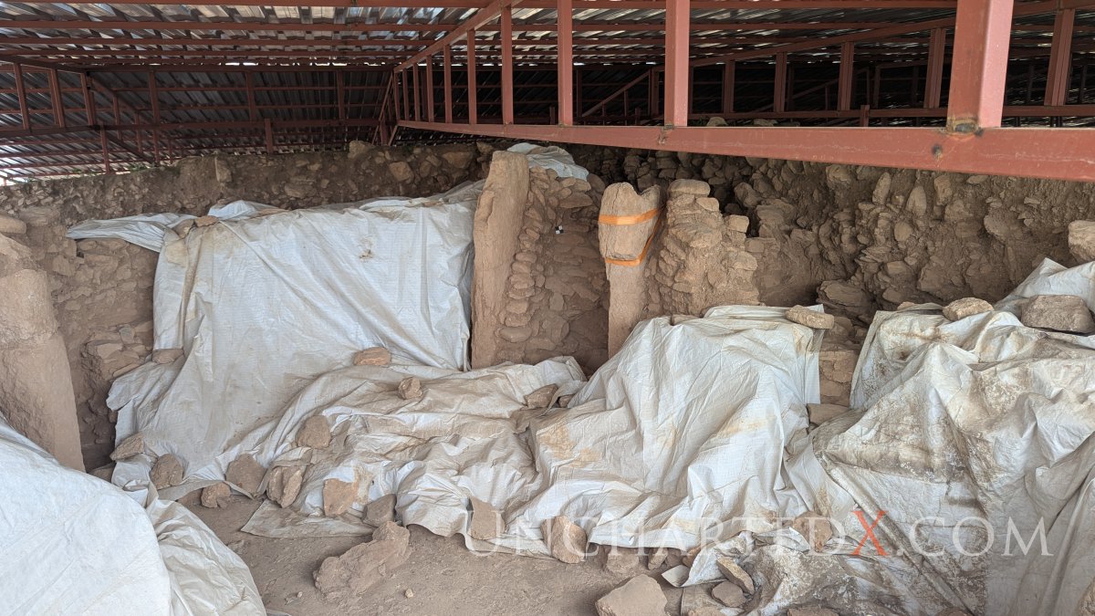 PXL_20250409_120127894.MP