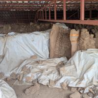 PXL_20250409_120127894.MP