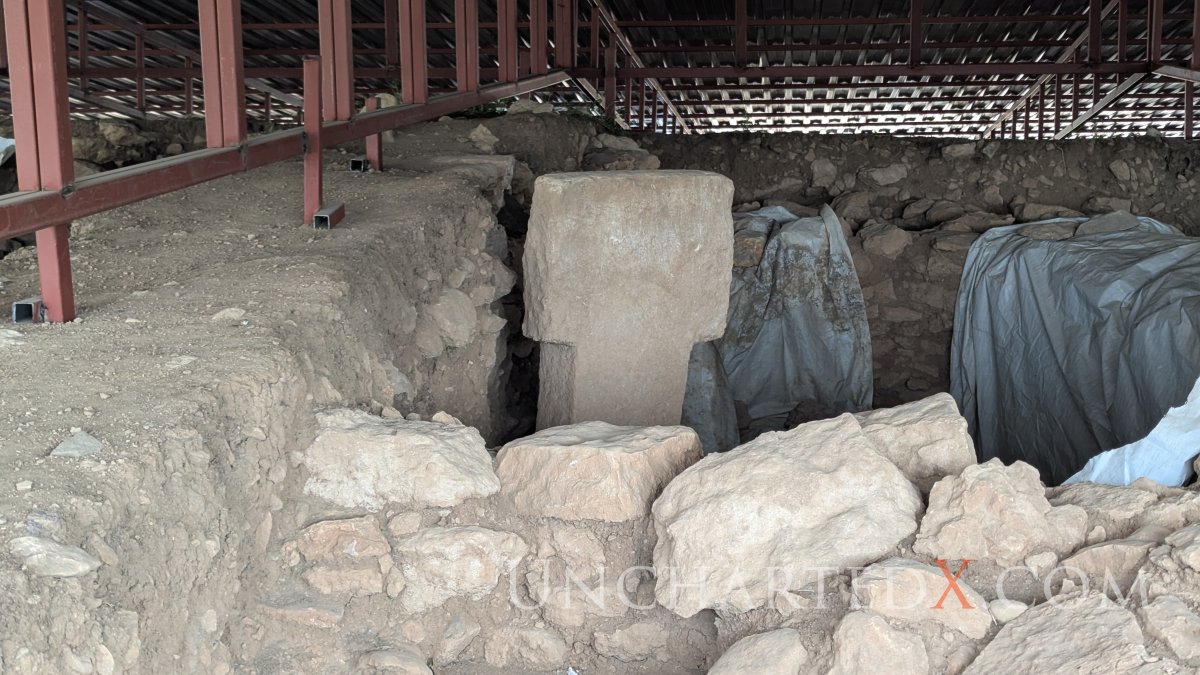 PXL_20250409_120156327.MP