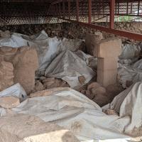 PXL_20250409_120558390.MP