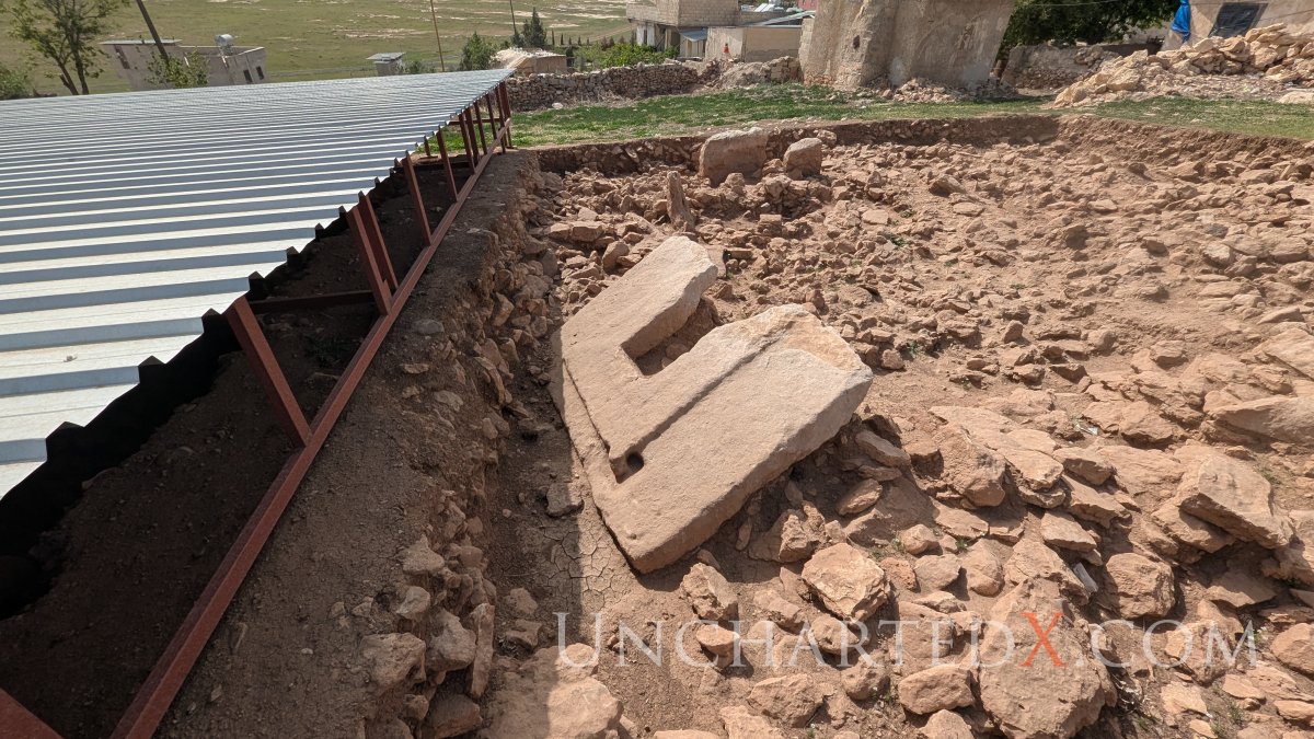 PXL_20250409_121003185.MP