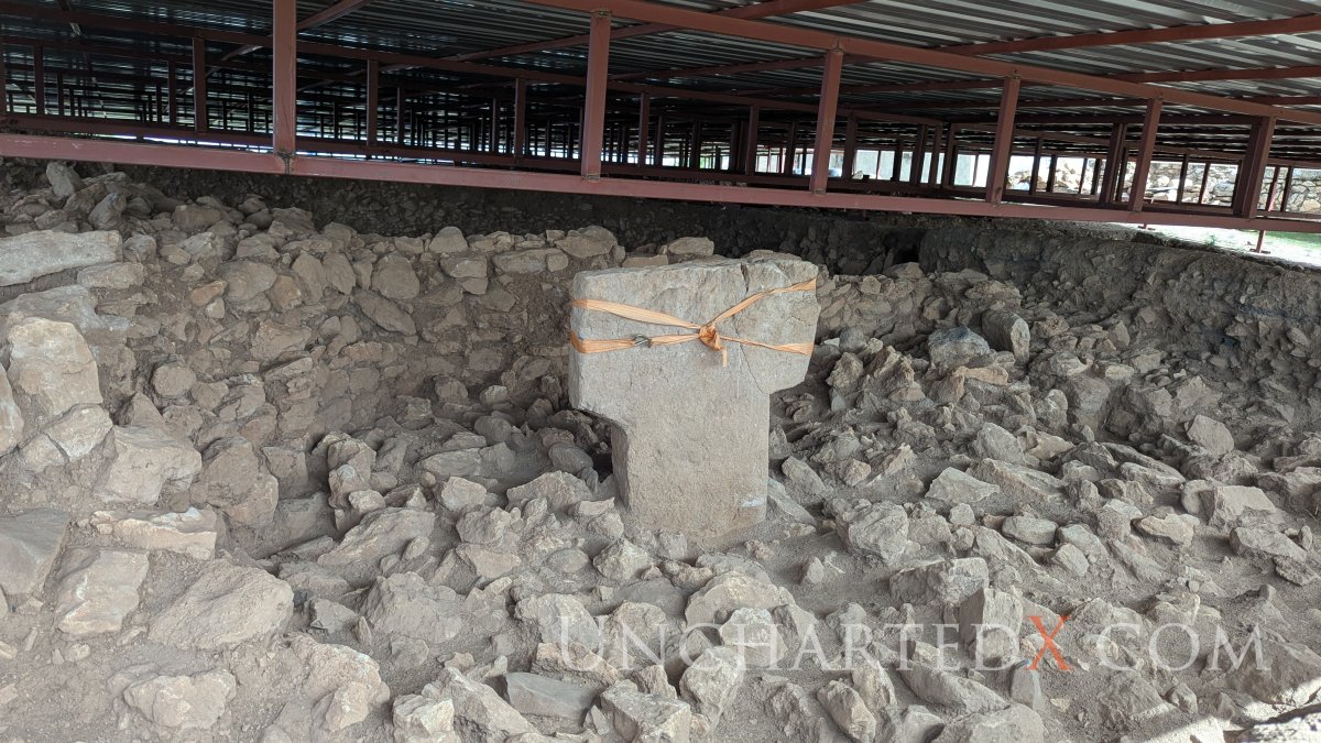 PXL_20250409_121144802.MP