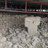 PXL_20250409_121144802.MP