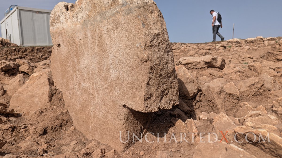 PXL_20250409_121244826.MP