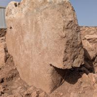 PXL_20250409_121244826.MP