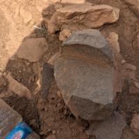 PXL_20250409_121247644