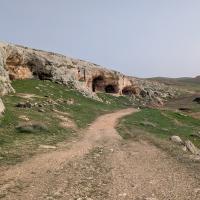 PXL_20250409_124129719.MP