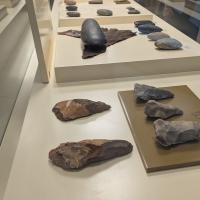 PXL_20250411_064831589