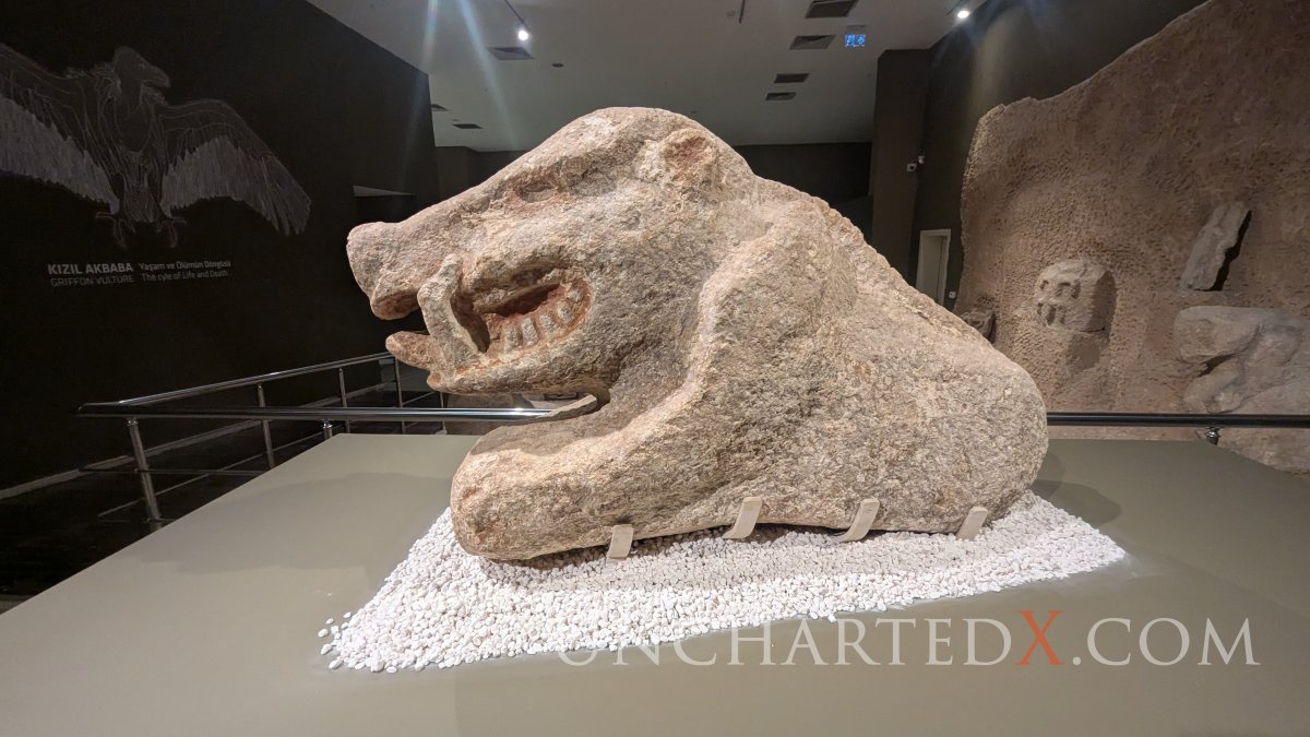 PXL_20250411_065702704