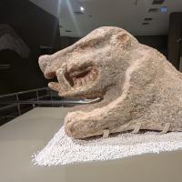 PXL_20250411_065702704