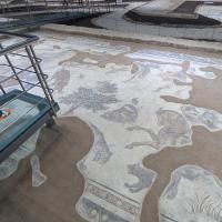 PXL_20250411_095233413.MP