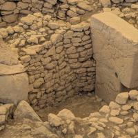 PXL_20250412_074023944