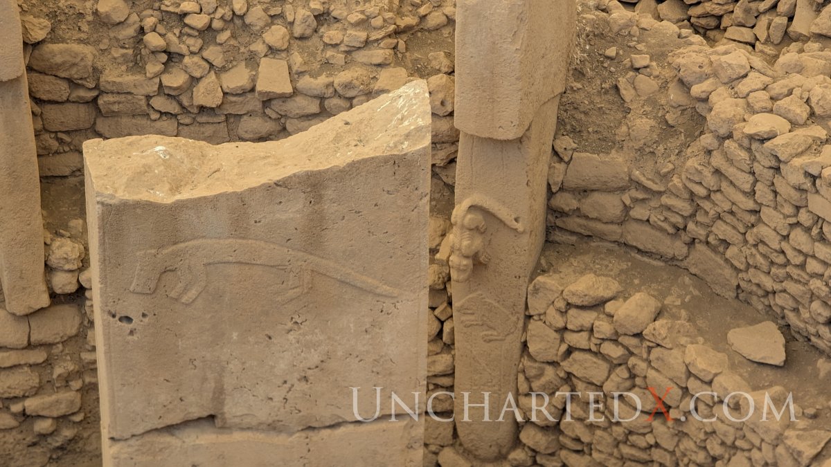 PXL_20250412_074623594