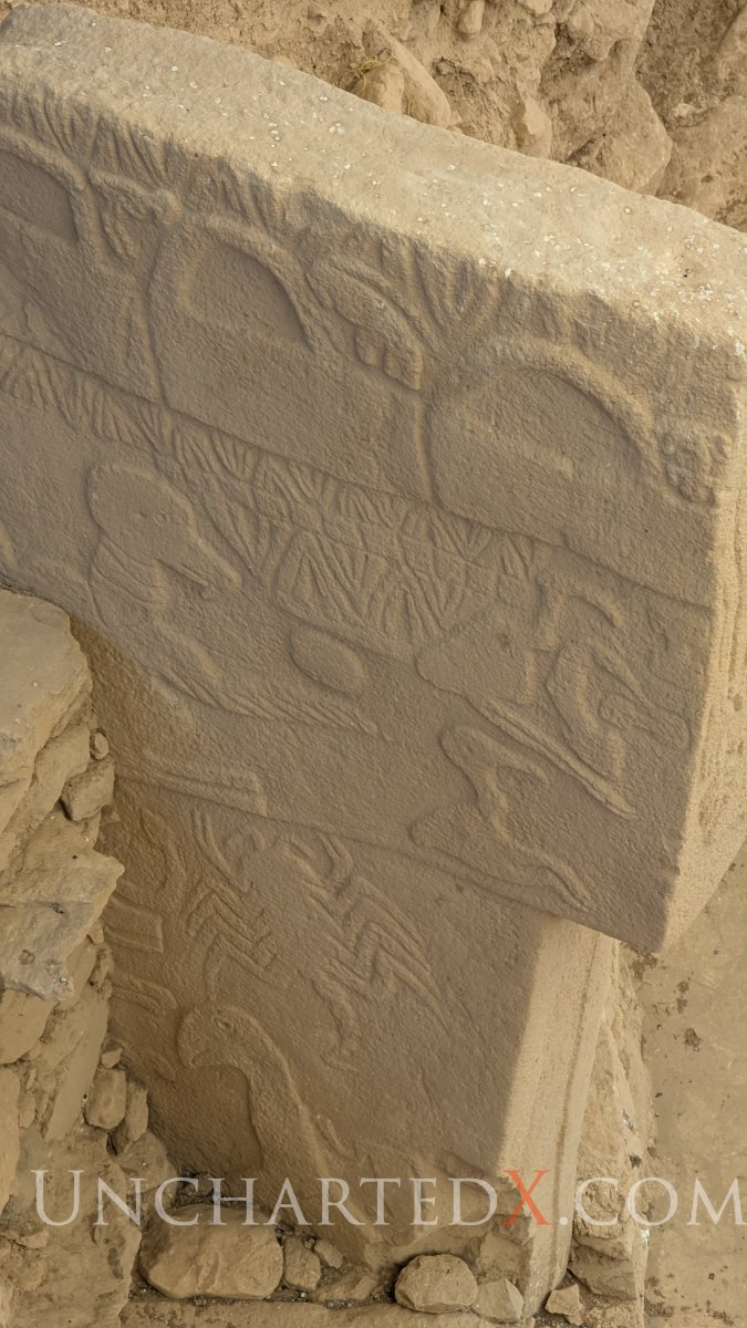 PXL_20250412_082144361