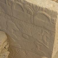 PXL_20250412_082144361