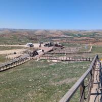 PXL_20250412_084048330