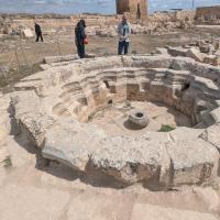 PXL_20250413_080214869.MP