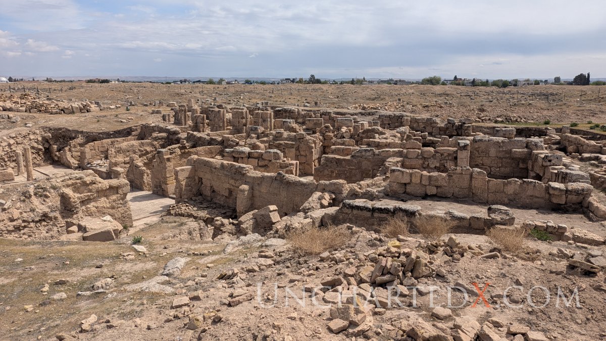 PXL_20250413_080943834.MP