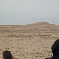 PXL_20250413_114334640