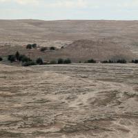 PXL_20250413_115736472