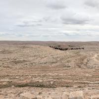 PXL_20250413_122936569.MP