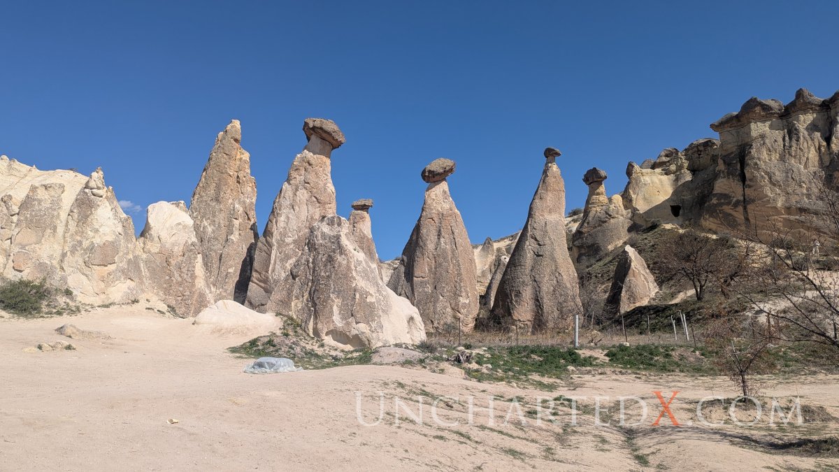 PXL_20250418_122451624.MP