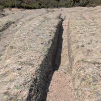 PXL_20250420_081450308