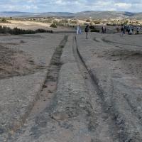 PXL_20250420_084040616