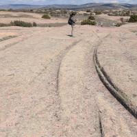 PXL_20250420_084135689.MP