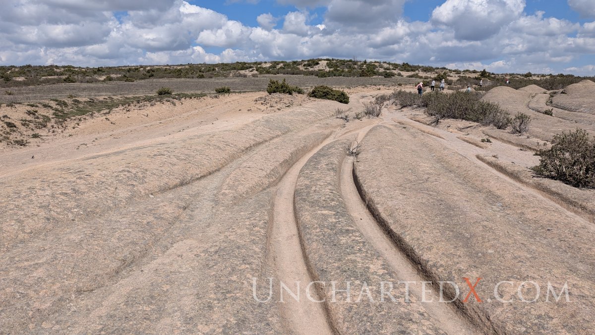 PXL_20250420_091902230