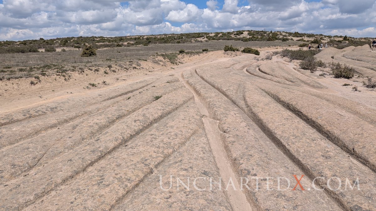 PXL_20250420_091925218