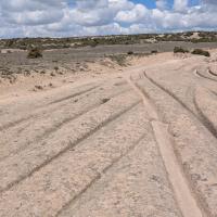 PXL_20250420_091925218