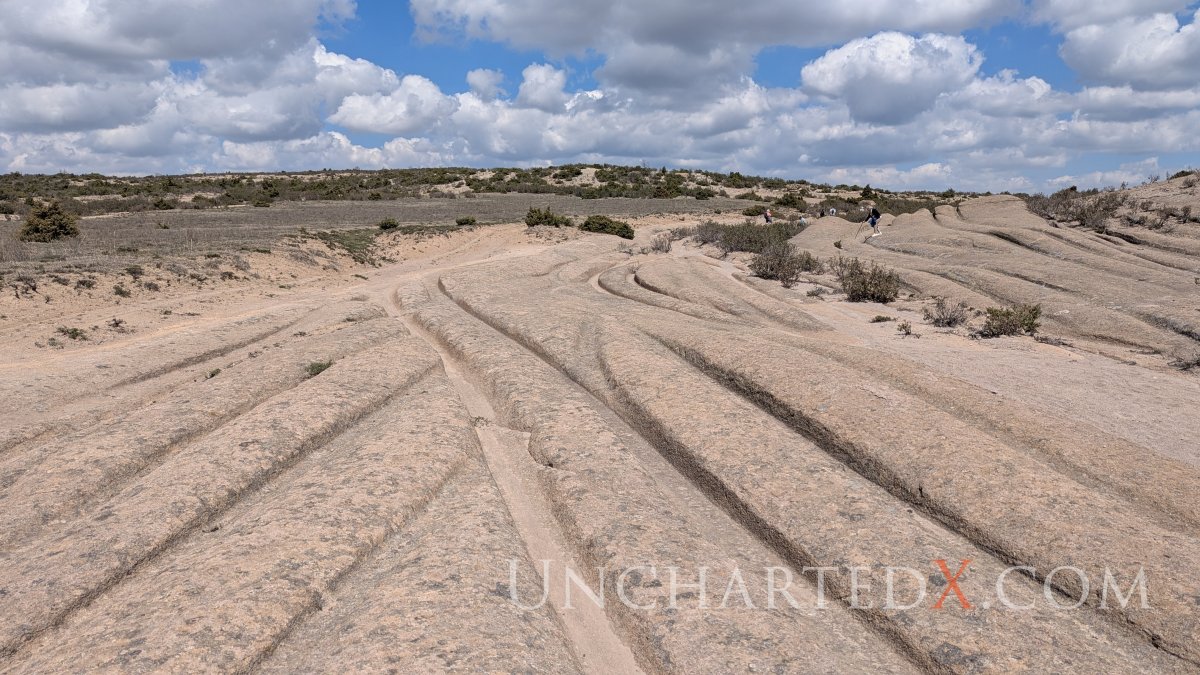 PXL_20250420_091932597