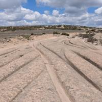 PXL_20250420_091932597