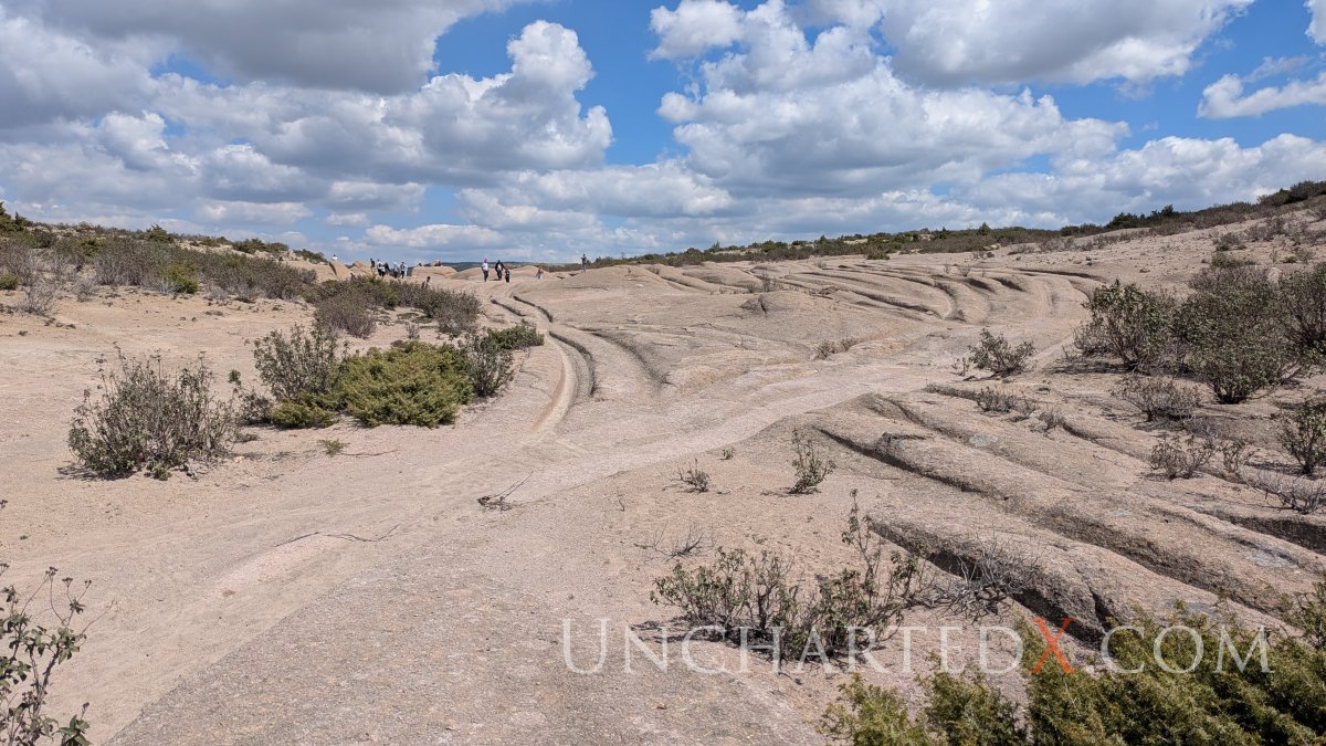 PXL_20250420_092931977