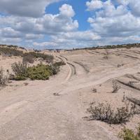 PXL_20250420_092931977